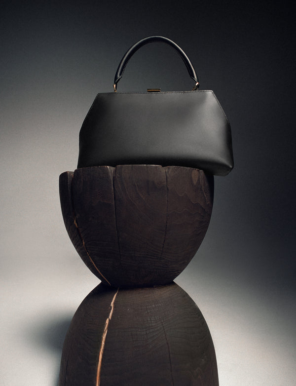 Black/brown bag