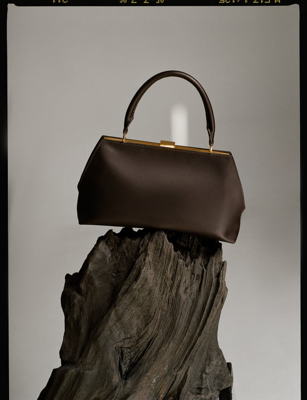 Black/brown bag